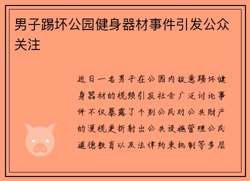 男子踢坏公园健身器材事件引发公众关注